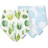 Cactus 2 Pack