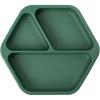 (Olive) Plate