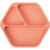 (Coral) Plate